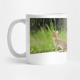 Cottontail rabbit, wild animals, wildlife gifts Mug
